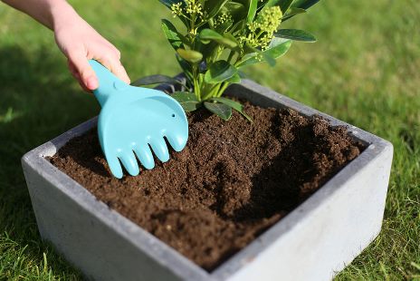 Raki, Spade og Kratte