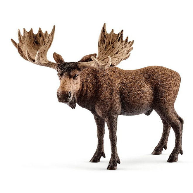 Premium Elgkjøtt - Naturlig Vilt fra Skandinavias Skoger