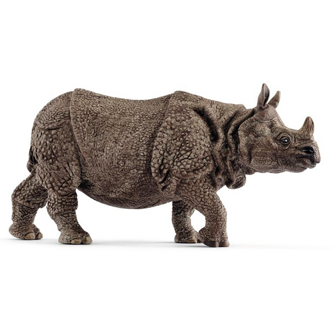Indisk Neshorn