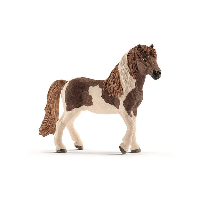 Islandske Hingst - Kraft og Eleganse fra Island