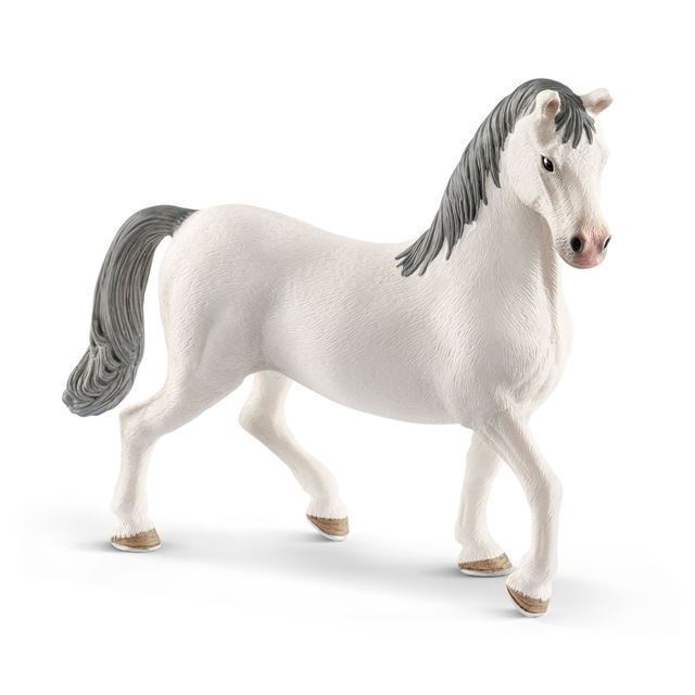 Majestetisk Lipizzanerhingst - Eleganse og Styrke i Perfekt Harmoni