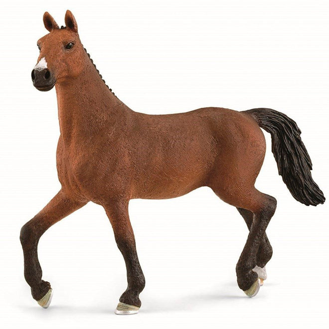 Oldenburger Hest – Elegant og Kraftfull