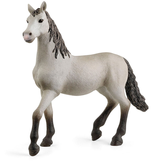 Renraset Spansk Hest (Pura Raza Española)
