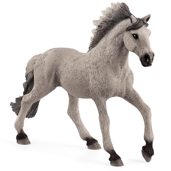 Sorraia Mustang Hingst - Sjeldne og Elegante Villhester