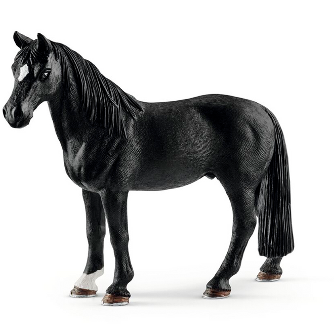 Tennessee Walker Vallak - Elegant og Behagelig Ridehest