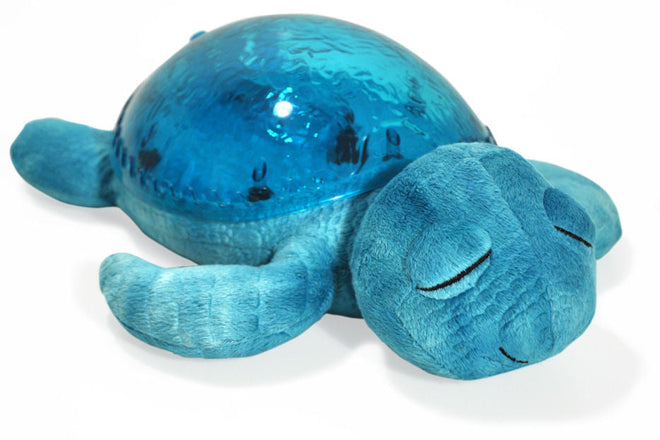 Rolig Skilpadde, Aqua