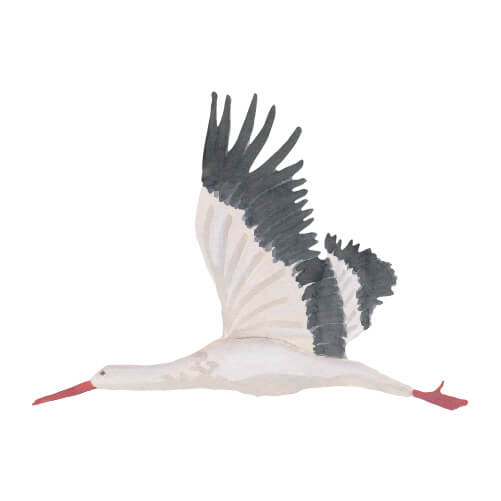 Vægfortællinger - Stor Stork